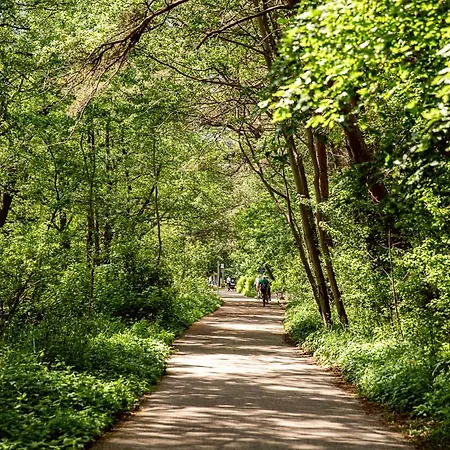 Baltique B10 Posesja Kapitanska